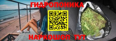 крисы Партизанск