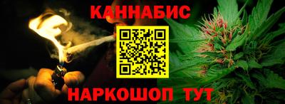 крисы Партизанск