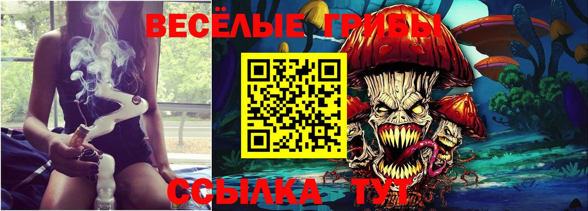 Псилоцибиновые грибы Psilocybine cubensis  Вход с VPN  Сердобск 